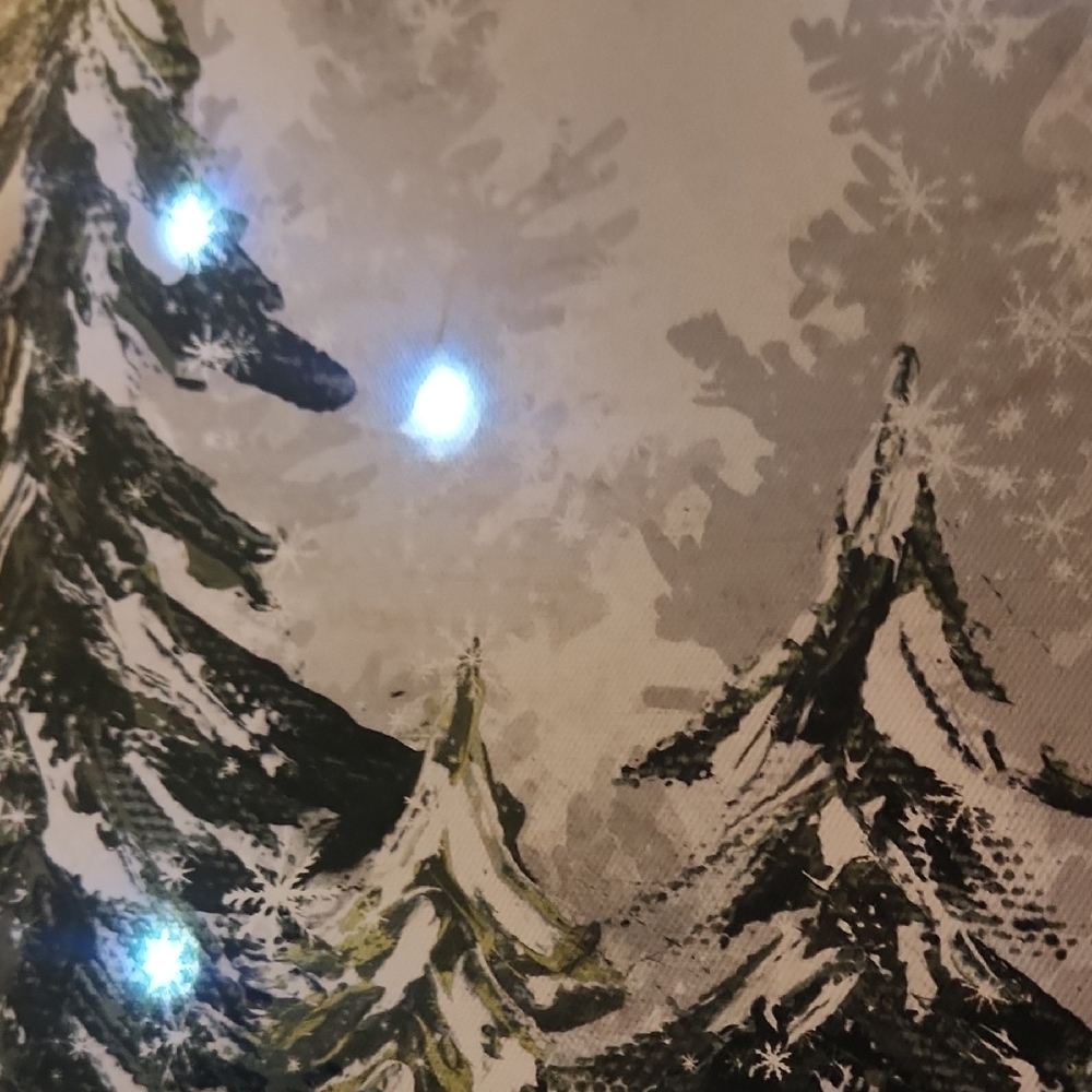 Winter Forest Canvas with LED Lights - Picture 5 of 7